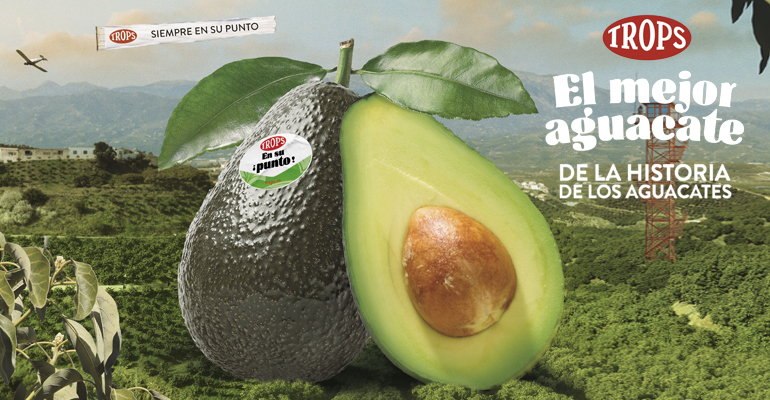 Sube aguacate a máximo de casi 2 años